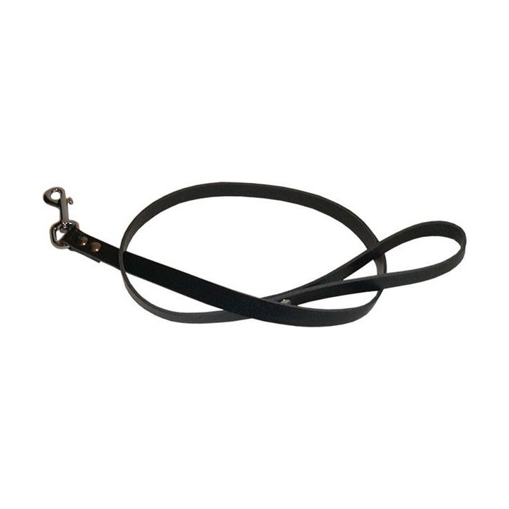 Laisse en cuir Dog 1m