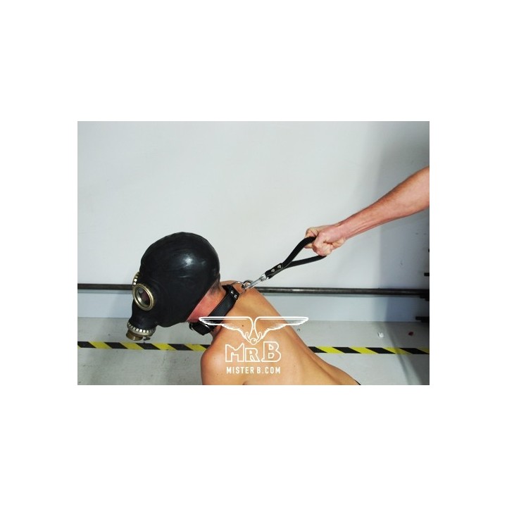 Poignée Dog avec mousqueton