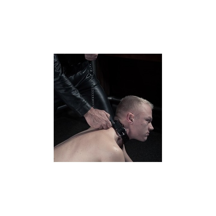 Laisse Dog avec Chaîne de 45cm