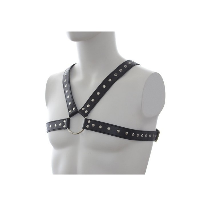 Harnais SM Stud Chest