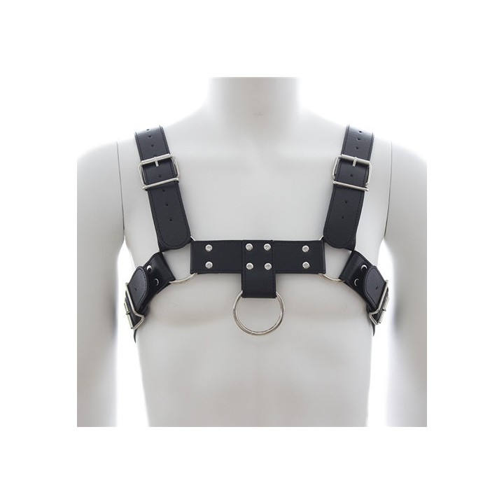 Harnais SM Upper Body Chest