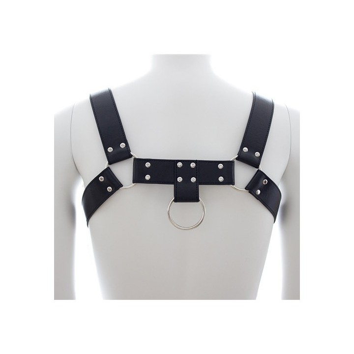 Harnais SM Upper Body Chest