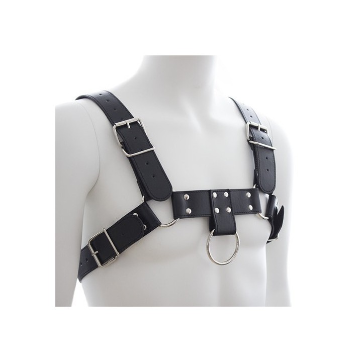 Harnais SM Upper Body Chest