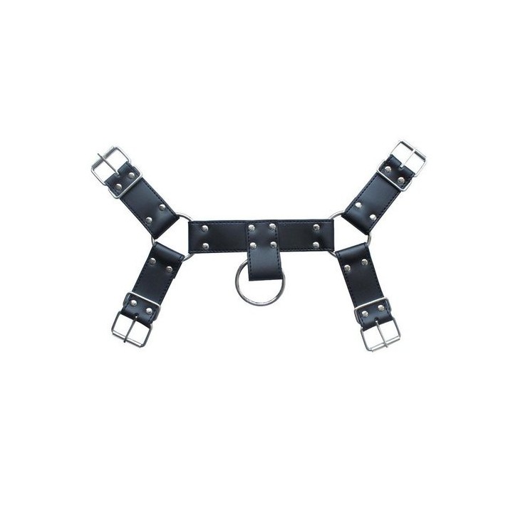 Harnais SM Upper Body Chest