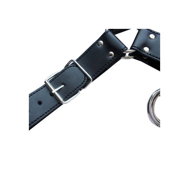 Harnais SM Upper Body Chest