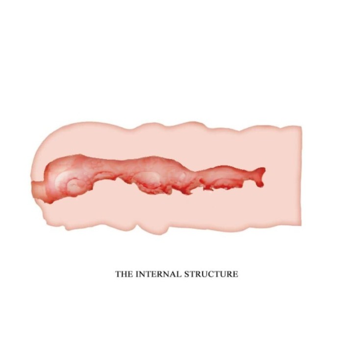 Masturbateur CRAZY BULL Isabel 13 cm