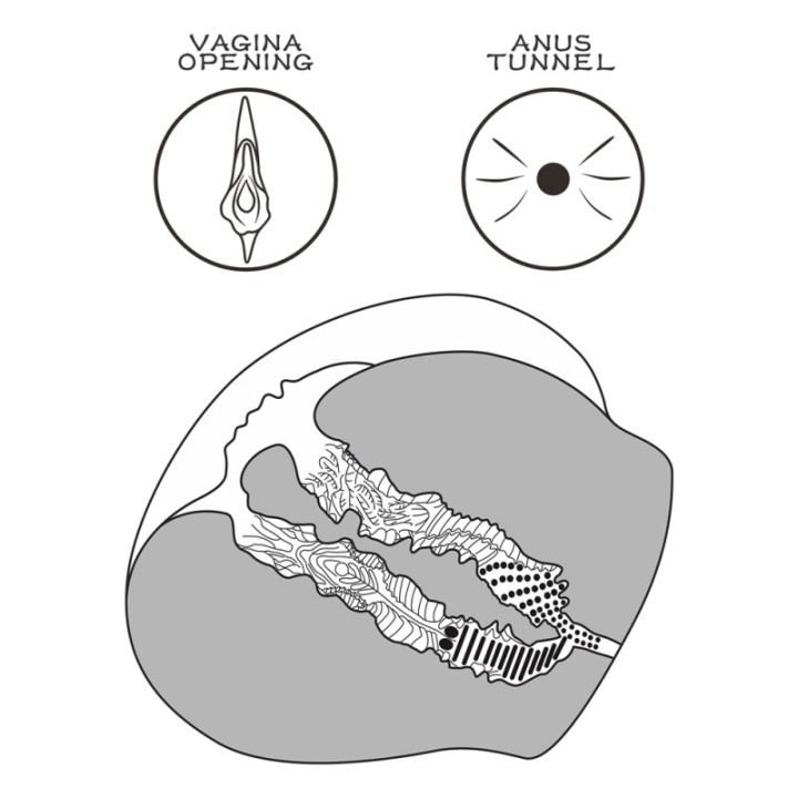 Masturbateur Pussy Streetgirl n°12 Vagin-Anus Marron