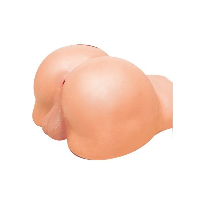 Masturbateur Cul Bottom Falcon